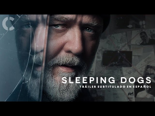 Sleeping Dogs  Full Movie Download Hindi Dubbed 480p, 720, 1080p – Moviesflix